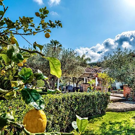 Capo dʼOrlando B&B Villa Bency المظهر الخارجي الصورة